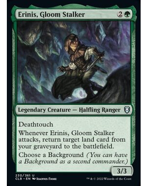 Magic: The Gathering Erinis, Gloom Stalker (230) Near Mint Foil