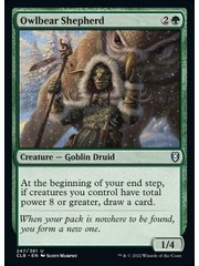 Magic: The Gathering Owlbear Shepherd (247) Near Mint Foil