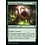 Magic: The Gathering Predatory Impetus (249) Near Mint Foil