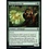 Magic: The Gathering Sharpshooter Elf (253) Near Mint Foil