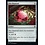 Magic: The Gathering Fire Diamond (313) Near Mint