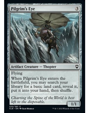 Magic: The Gathering Pilgrim's Eye (333) Near Mint
