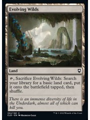 Magic: The Gathering Evolving Wilds (352) Near Mint