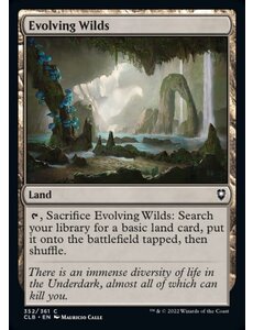 Magic: The Gathering Evolving Wilds (352) Near Mint