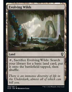 Magic: The Gathering Evolving Wilds (352) Near Mint Foil