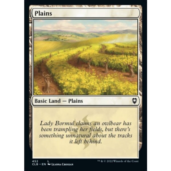 Magic: The Gathering Plains (452) Near Mint Foil