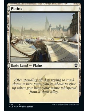 Magic: The Gathering Plains (453) Near Mint Foil