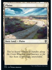 Magic: The Gathering Plains (451) Near Mint Foil