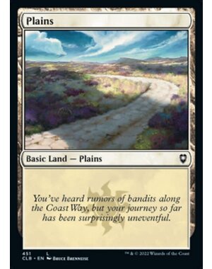 Magic: The Gathering Plains (451) Near Mint Foil