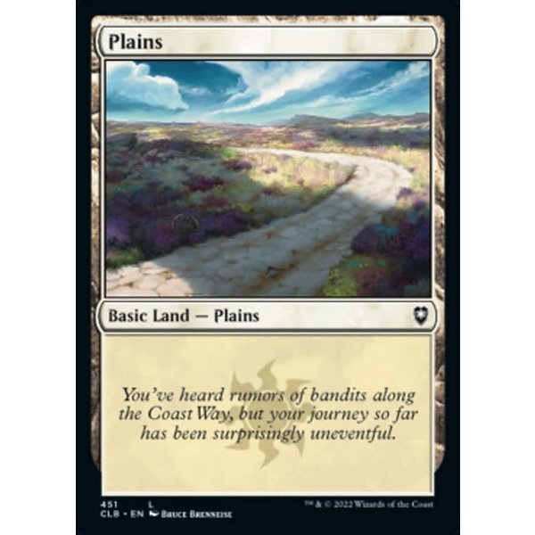 Magic: The Gathering Plains (451) Near Mint Foil