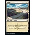 Magic: The Gathering Plains (451) Near Mint Foil