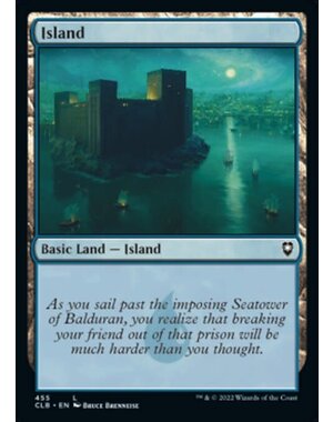 Magic: The Gathering Island (455) Near Mint Foil
