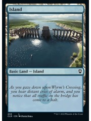 Magic: The Gathering Island (456) Near Mint Foil