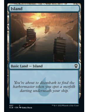 Magic: The Gathering Island (457) Near Mint Foil