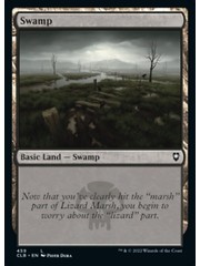 Magic: The Gathering Swamp (459) Near Mint Foil