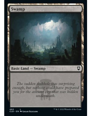 Magic: The Gathering Swamp (460) Near Mint Foil