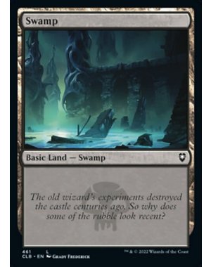 Magic: The Gathering Swamp (461) Near Mint Foil