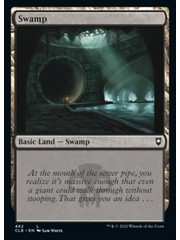 Magic: The Gathering Swamp (462) Near Mint Foil