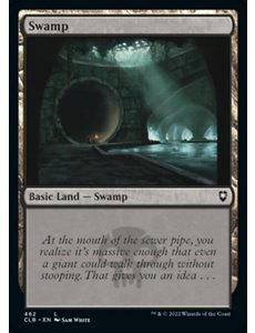 Magic: The Gathering Swamp (462) Near Mint Foil