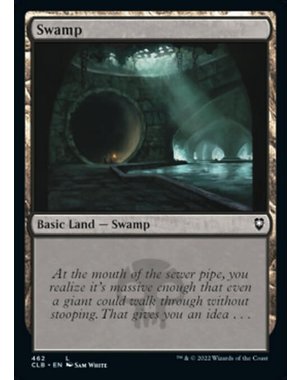 Magic: The Gathering Swamp (462) Near Mint Foil