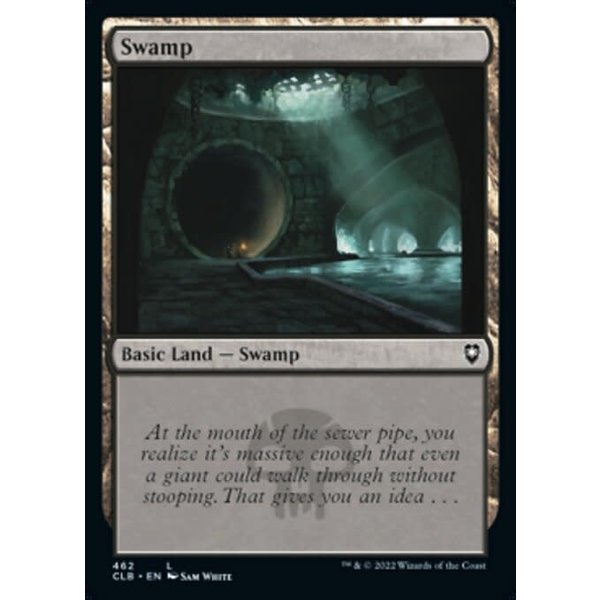 Magic: The Gathering Swamp (462) Near Mint Foil