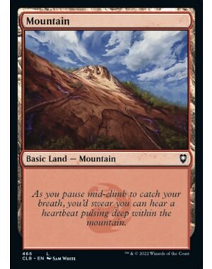 Magic: The Gathering Mountain (466) Near Mint Foil
