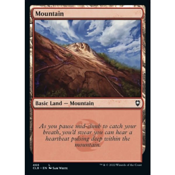Magic: The Gathering Mountain (466) Near Mint Foil