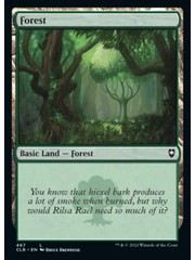 Magic: The Gathering Forest (467) Near Mint Foil
