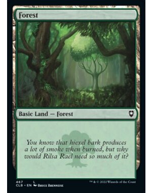 Magic: The Gathering Forest (467) Near Mint Foil