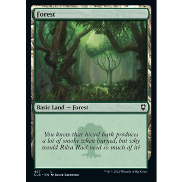 Magic: The Gathering Forest (467) Near Mint Foil