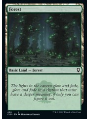 Magic: The Gathering Forest (468) Near Mint Foil
