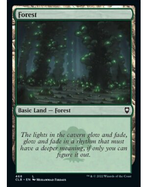 Magic: The Gathering Forest (468) Near Mint Foil