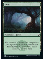 Magic: The Gathering Forest (469) Near Mint Foil