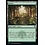 Magic: The Gathering Forest (470) Near Mint Foil