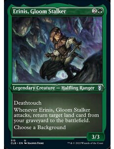 Magic: The Gathering Erinis, Gloom Stalker (Foil Etched) (515) Near Mint Foil