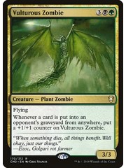Magic: The Gathering Vulturous Zombie (170) Lightly Played