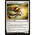 Magic: The Gathering Archangel of Strife (005) Moderately Played