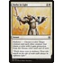 Magic: The Gathering Bathe in Light (006) Moderately Played