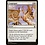 Magic: The Gathering Congregate (007) Moderately Played