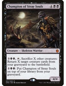 Magic: The Gathering Champion of Stray Souls (051) Moderately Played