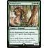 Magic: The Gathering Verdant Force (161) Moderately Played
