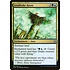 Magic: The Gathering Leafdrake Roost (182) Moderately Played