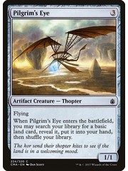 Magic: The Gathering Pilgrim's Eye (224) Moderately Played