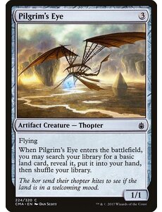 Magic: The Gathering Pilgrim's Eye (224) Moderately Played