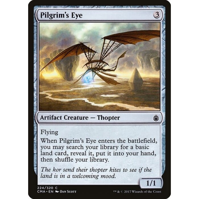 Magic: The Gathering Pilgrim's Eye (224) Moderately Played