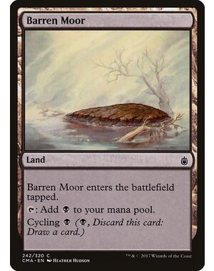 Magic: The Gathering Barren Moor (242) Moderately Played
