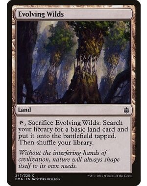 Magic: The Gathering Evolving Wilds (247) Moderately Played