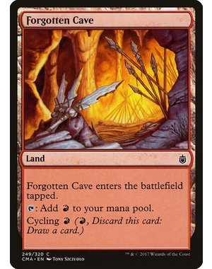 Magic: The Gathering Forgotten Cave (249) Moderately Played