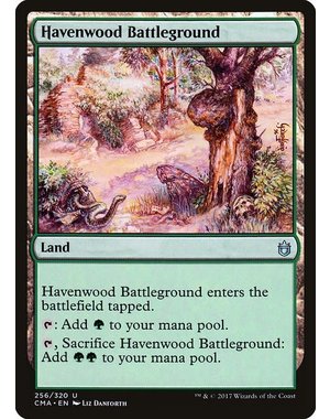 Magic: The Gathering Havenwood Battleground (256) Moderately Played