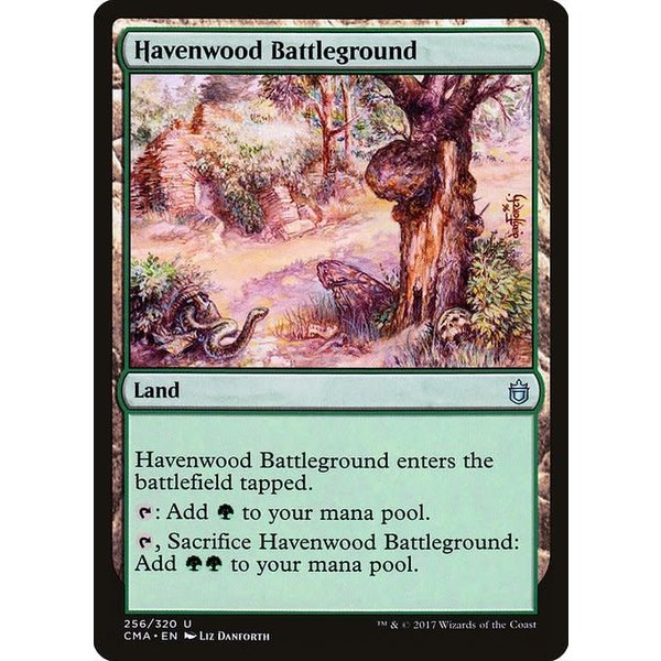 Magic: The Gathering Havenwood Battleground (256) Moderately Played